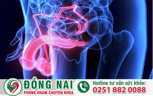 Tác Hại Khôn Lường Của Rối Loạn Cương Dương