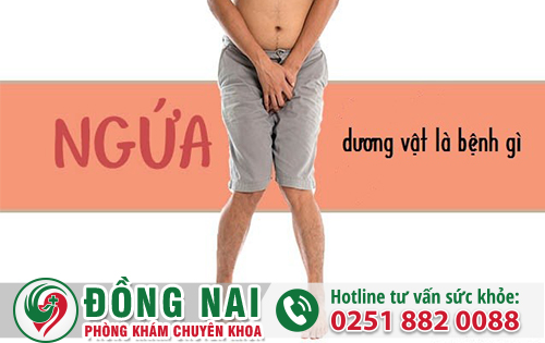 Ngứa Dương Vật Là Dấu Hiệu Bệnh Gì?